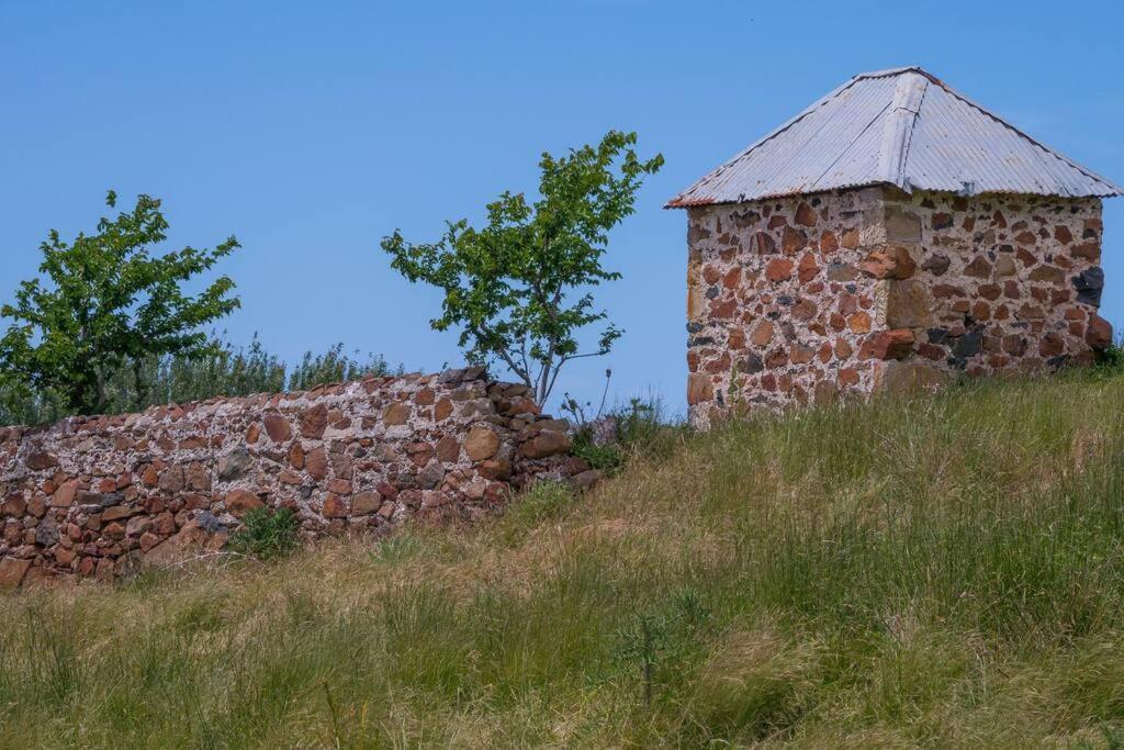 *Newly Relisted* Coach House At Lisdillon Vineyard Villa Little Swanport Bagian luar foto