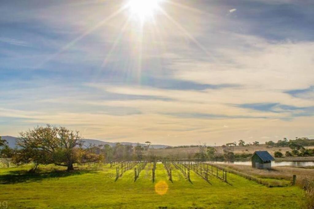 *Newly Relisted* Coach House At Lisdillon Vineyard Villa Little Swanport Bagian luar foto