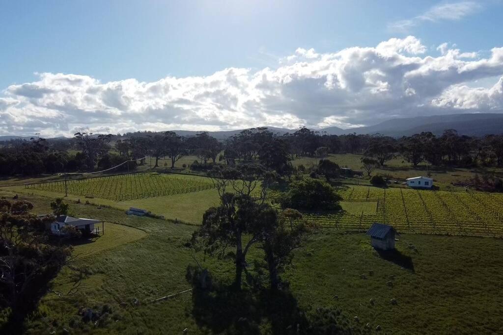 *Newly Relisted* Coach House At Lisdillon Vineyard Villa Little Swanport Bagian luar foto